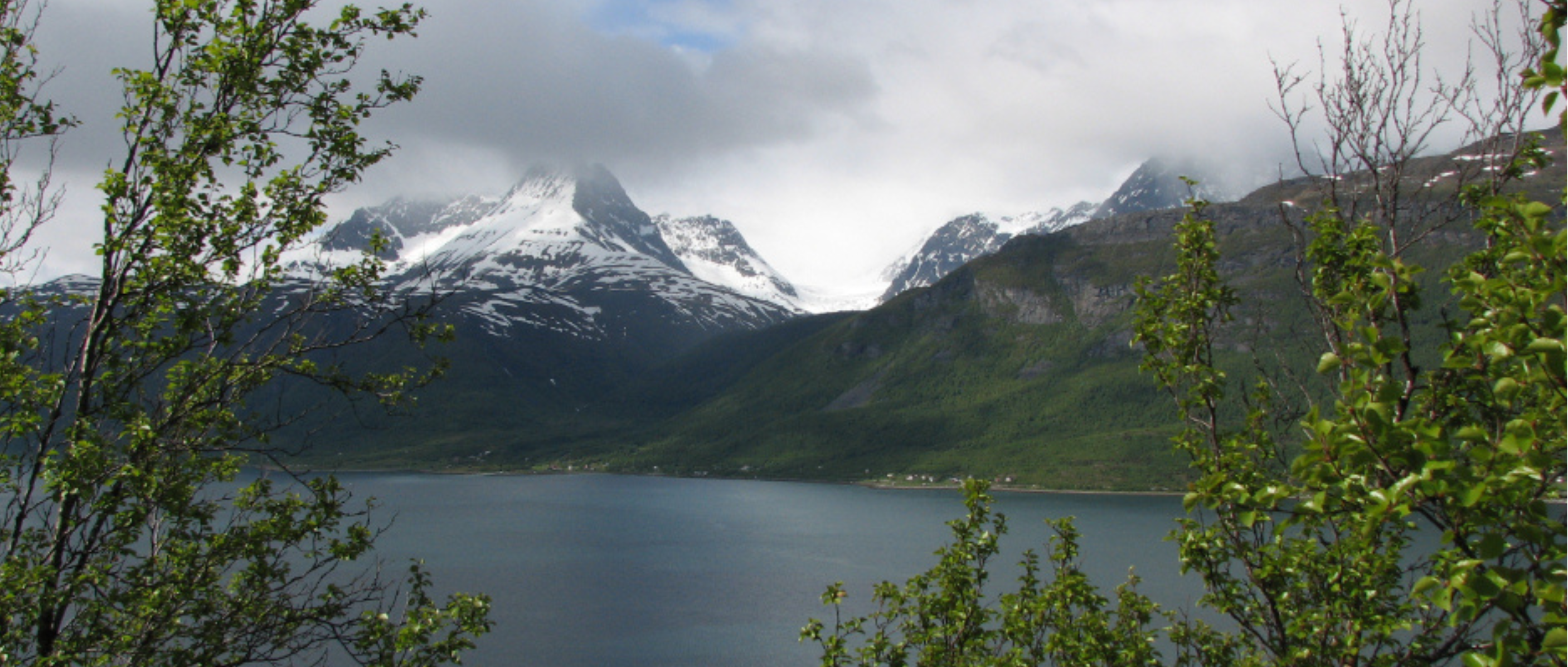 大模型网关：大模型时代的智能交通枢纽｜得物技术
